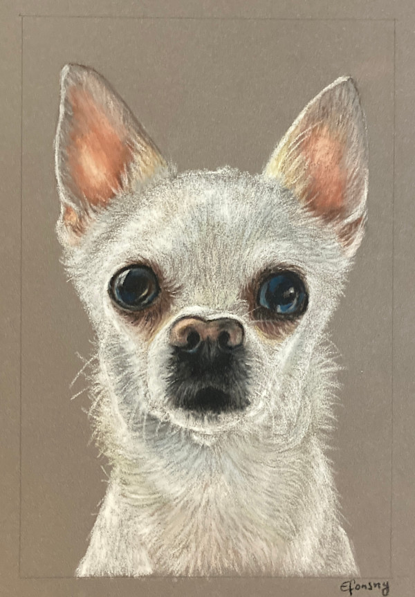 White Chihuahua by Emmanuelle Fonsny
