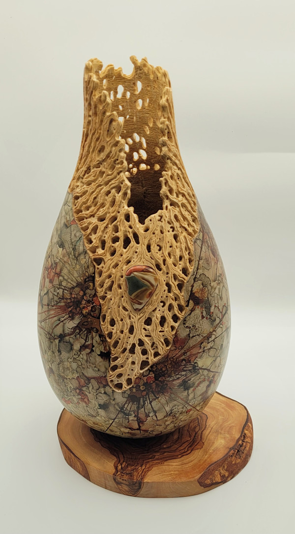 Cholla Treasure by Jill Robinson