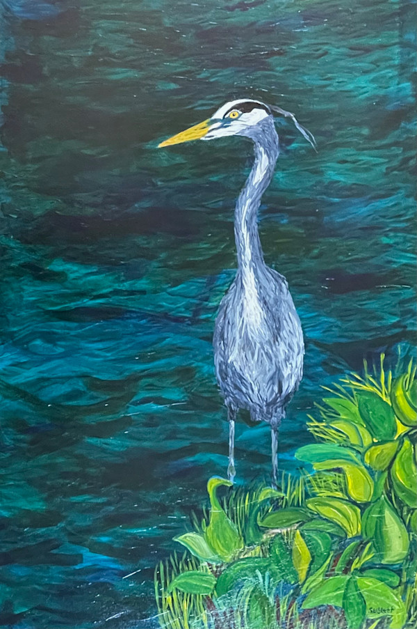 Great Blue Heron at Oracle Pond by Jesse Sublett