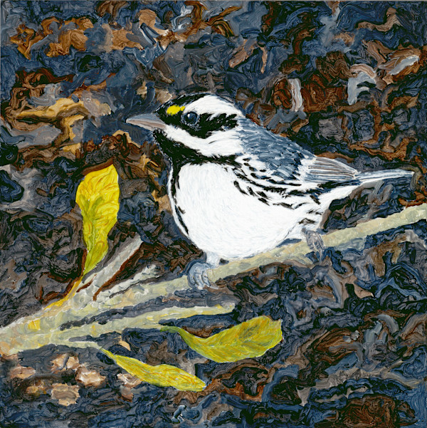 Black Throated Gray Warbler No. 2 by Jesse Sublett