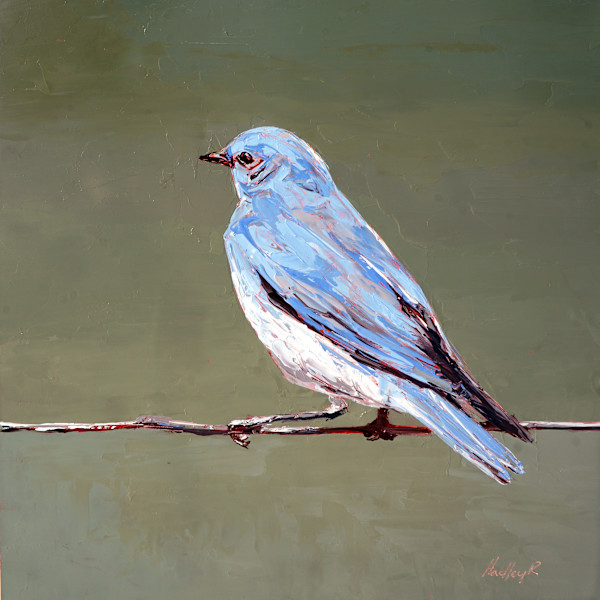 Bashful Blue by Hadley Rampton