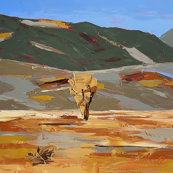 Cottonwood by Hadley Rampton