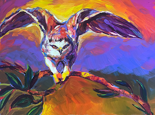 Lift Off by Laura Green