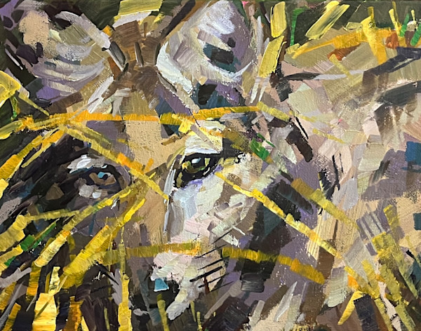 Coyote Peeking by Laura Green