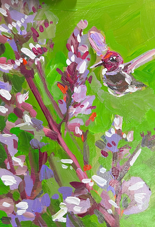 Allen's Hummingbird by Laura Green