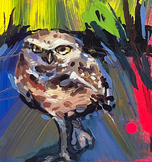 Burrowing Owl by Laura Green