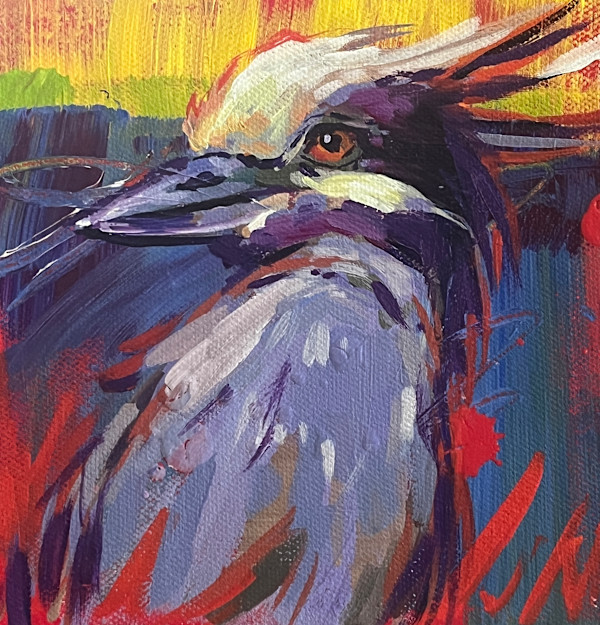 Yellow-crowned Night Heron by Laura Green