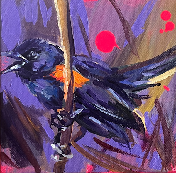 Red-winged Blackbird by Laura Green