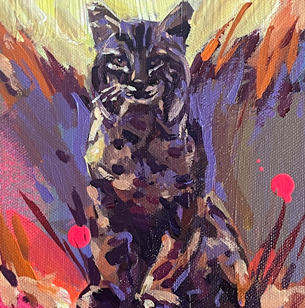 Bobcat by Laura Green