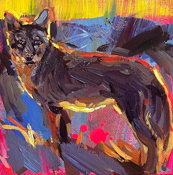 Coyote by Laura Green