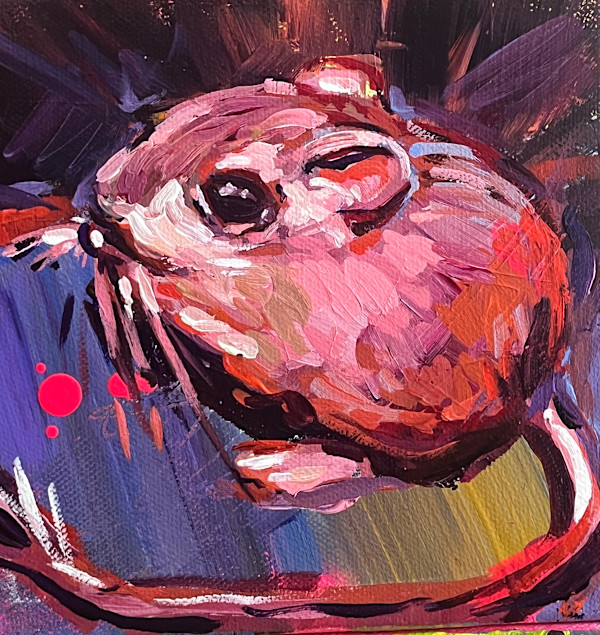 Kangaroo Rat by Laura Green