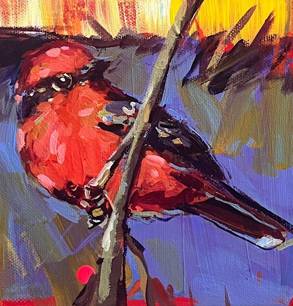 Vermilion Flycatcher by Laura Green