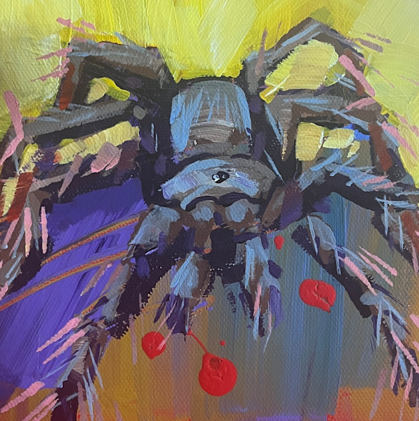 Tarantula by Laura Green