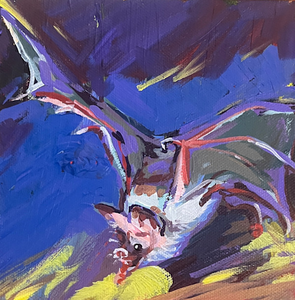 Little Brown Bat by Laura Green