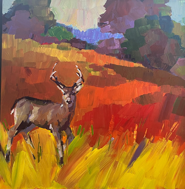 Mule Deer by Laura Green