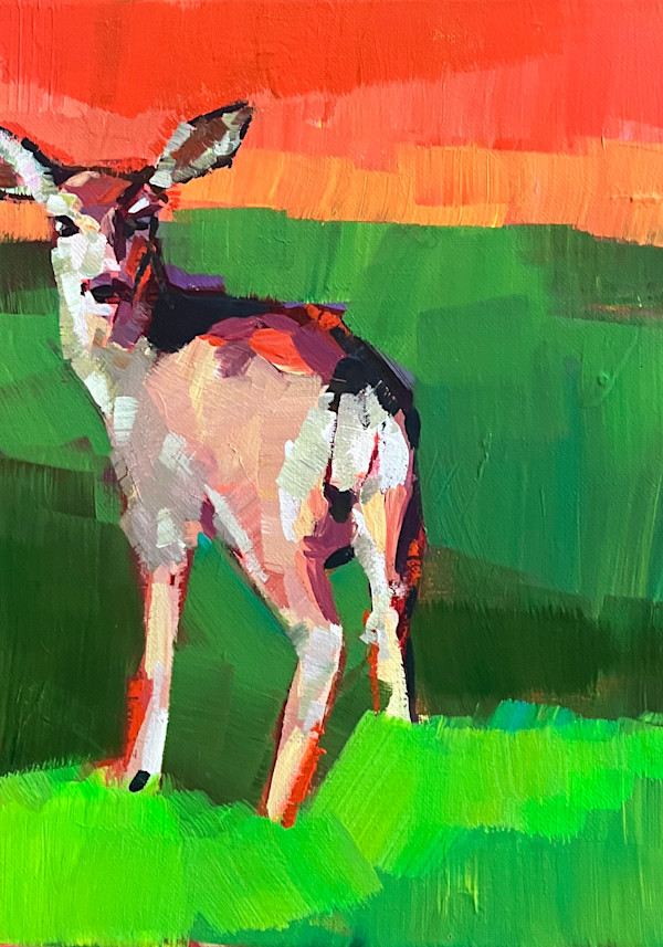 Mule Deer by Laura Green
