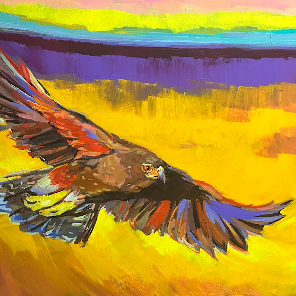 Hawk in Flight by Laura Green