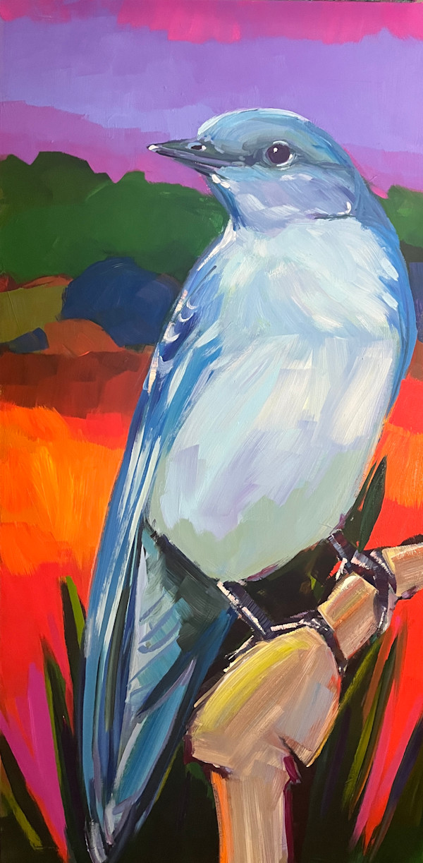 Mountain Bluebird by Laura Green