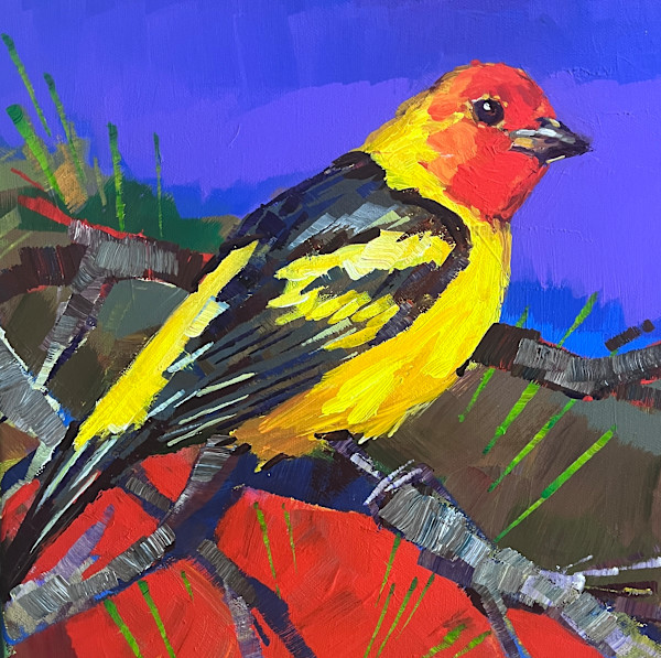 Western Tanager by Laura Green