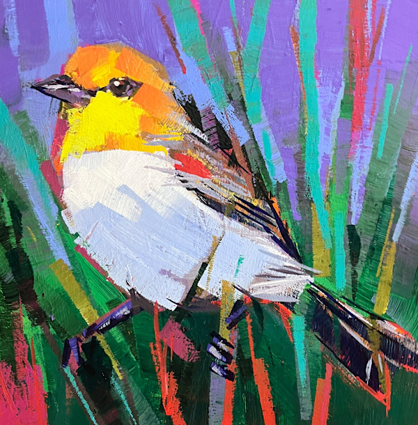 Verdin by Laura Green, Image 1.