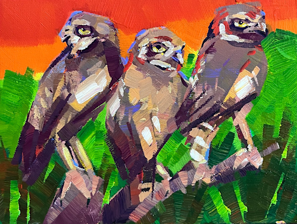 Three Sentinels (Burrowing Owls) by Laura Green, Image 1.