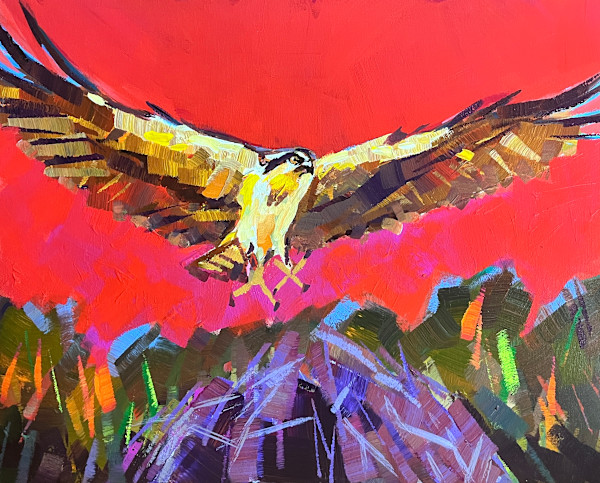 Osprey with Red Sky by Laura Green