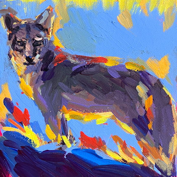 Coyote by Laura Green