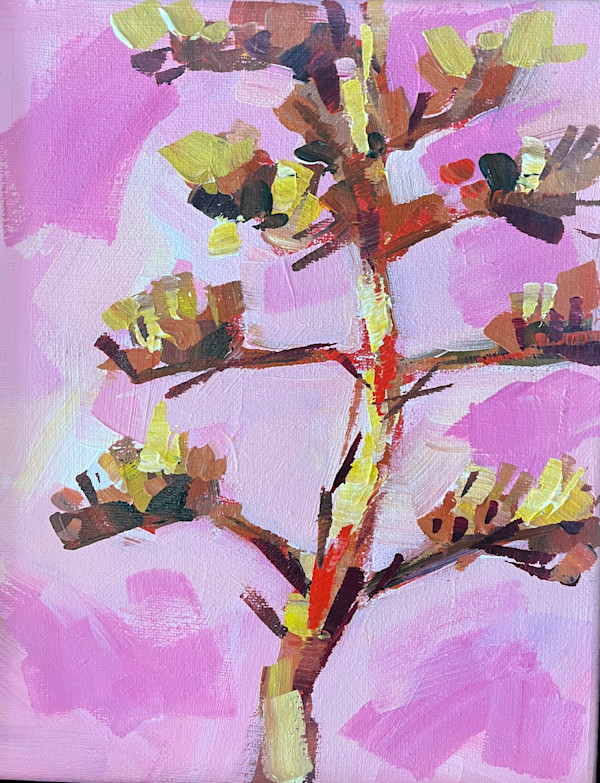 Agave at Sunset by Laura Green