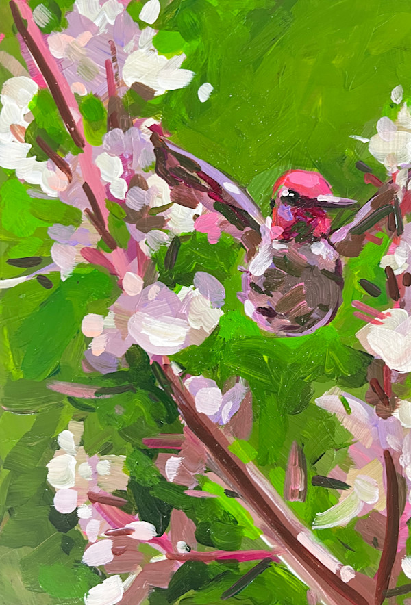 Allen's Hummingbird with Sage 2 by Laura Green