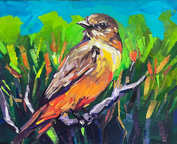 Say's Phoebe by Laura Green, Image 1.