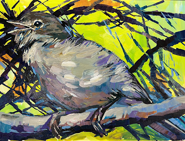 A Morning Song by Laura Green