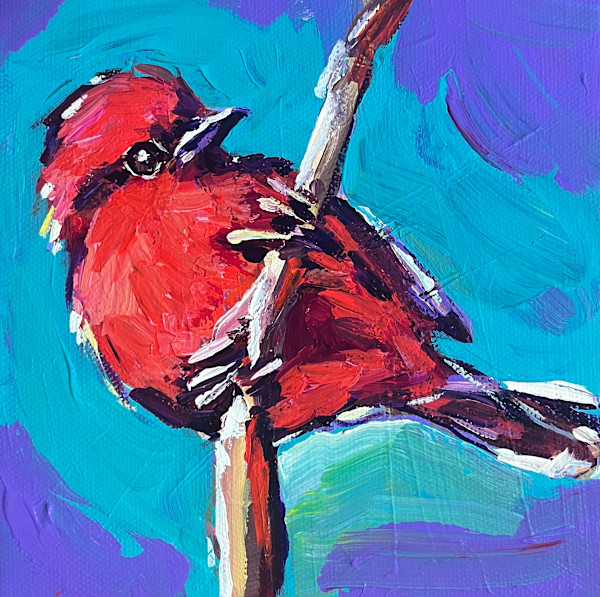 Vermilion Flycatcher by Laura Green, Image 1.