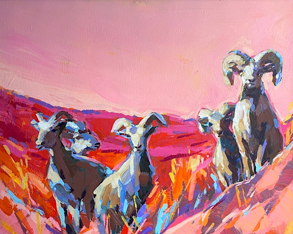 Big Horn Sheep with Pink Sky by Laura Green