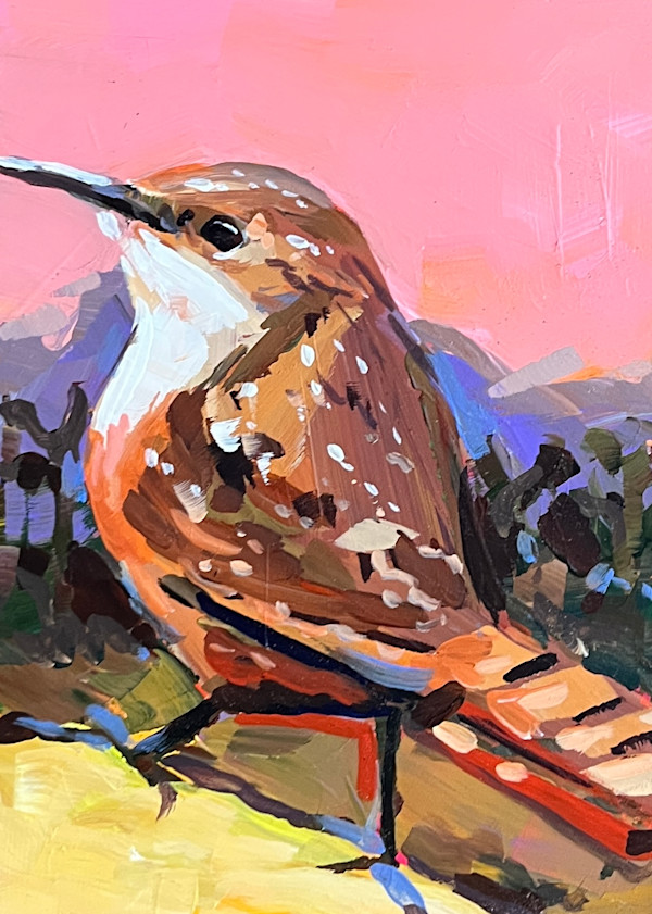 Cactus Wren with Pink Sky by Laura Green