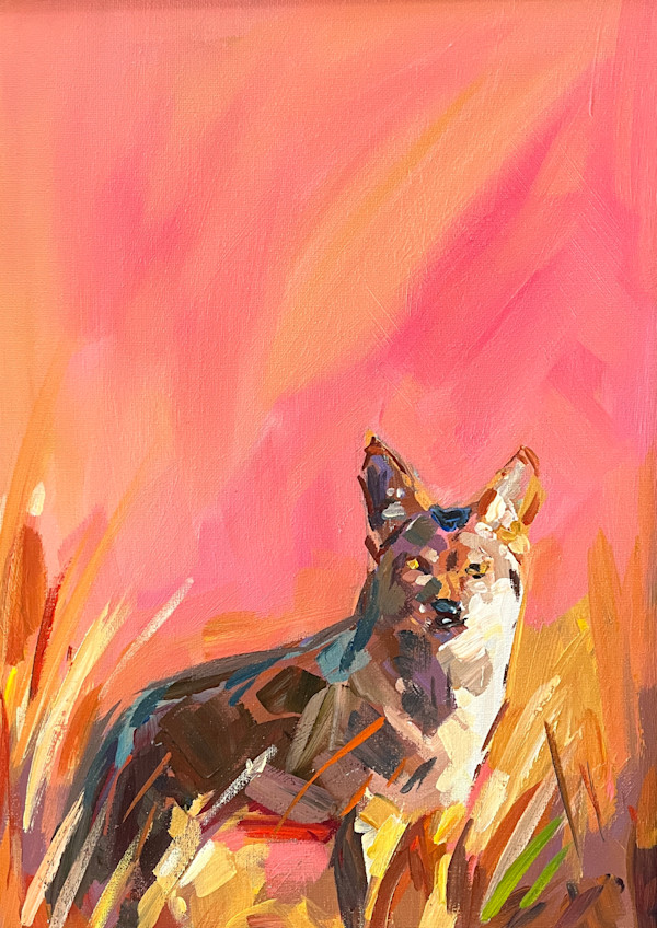 Coyote in Pink by Laura Green