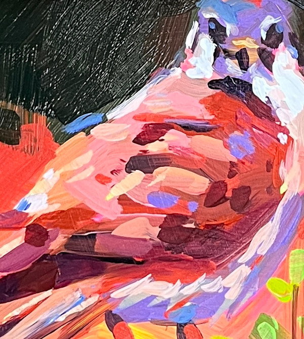 Dance of the Kestrel by Laura Green