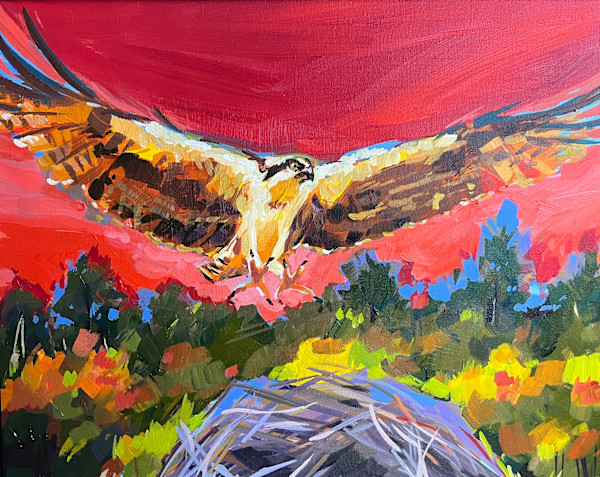 Osprey with Red Sky by Laura Green