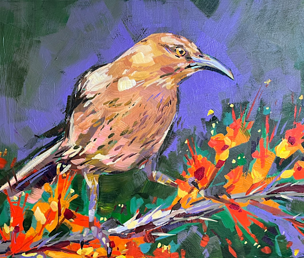 Shrike on a Branch by Laura Green