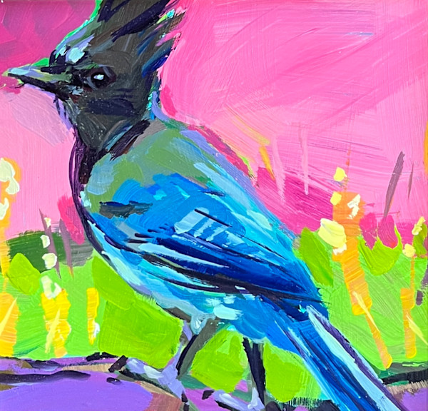 Stellar's Jay by Laura Green