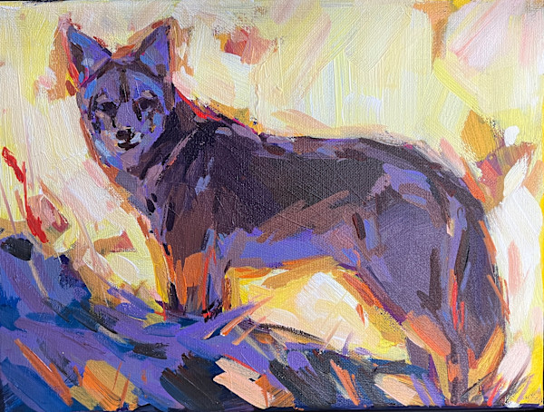 Coyote Spirit by Laura Green