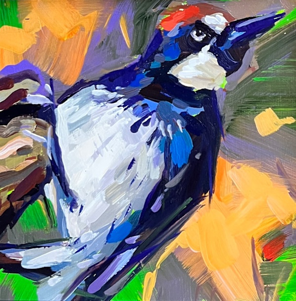 Acorn Woodpecker by Laura Green