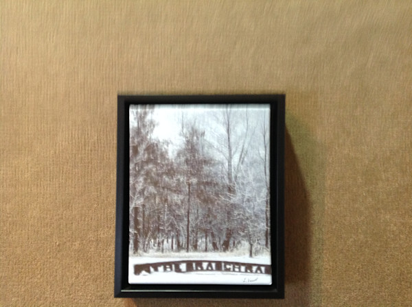 Beautiful Snowy Day by Loretta Verret