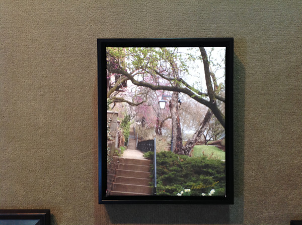 Snake Alley Historic by Loretta Verret