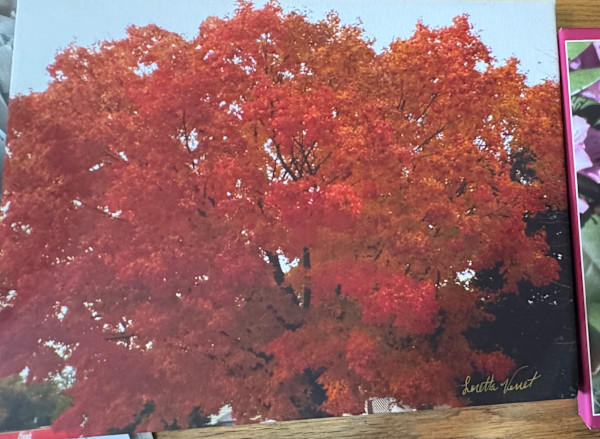 Autumn Day by Loretta Verret