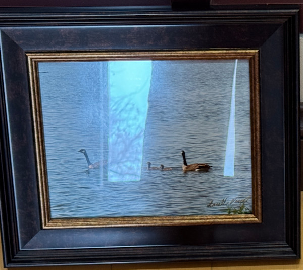 Canadian Geese in Water by Loretta Verret