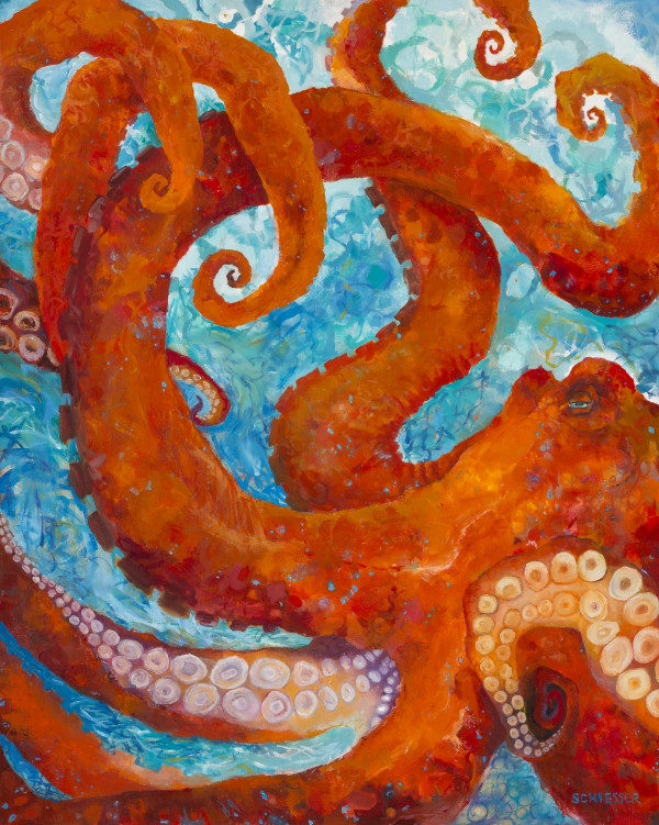 Octopus by Susan  Schiesser