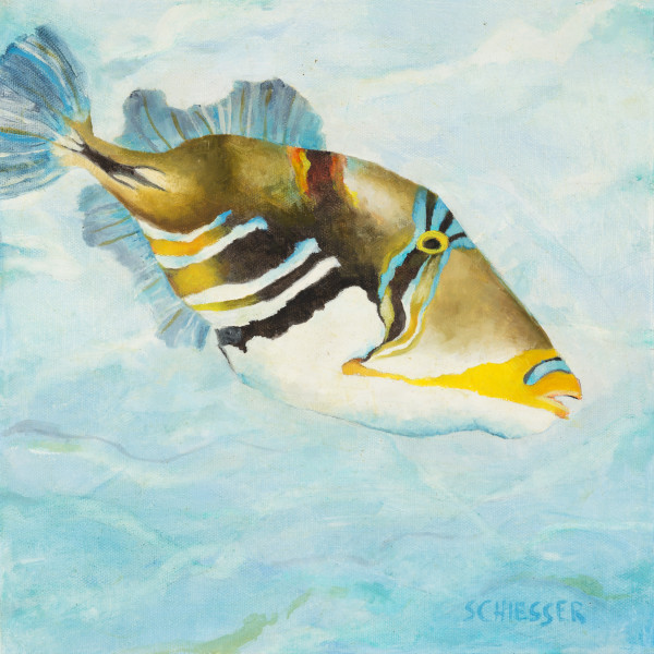Humuhumunukunukuapua'a  (Reef Trigger Fish) by Susan  Schiesser