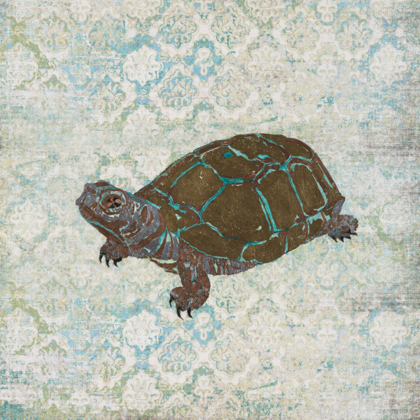 Box Turtle by Susan  Schiesser
