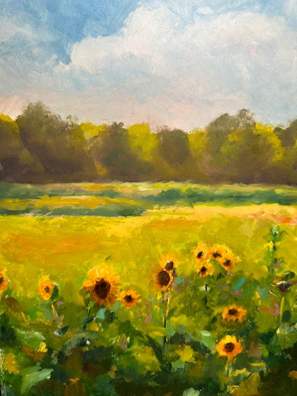 Field of Sun by Janice Tippett