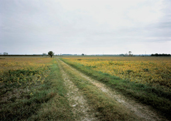 #37b, Near Ferrara, October 17 by Eric Klemm, Image 1.